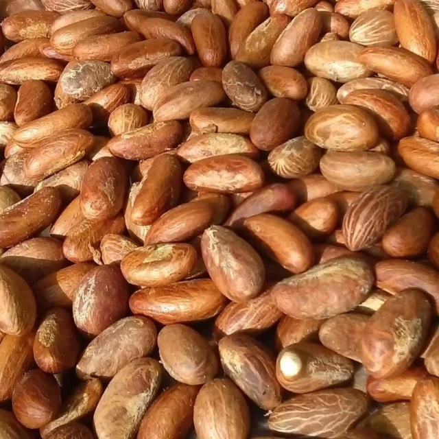 Kola